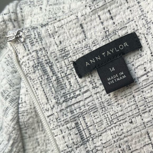NWOT Ann Taylor Textured Cream/Grey Dress - Picture 9 of 11